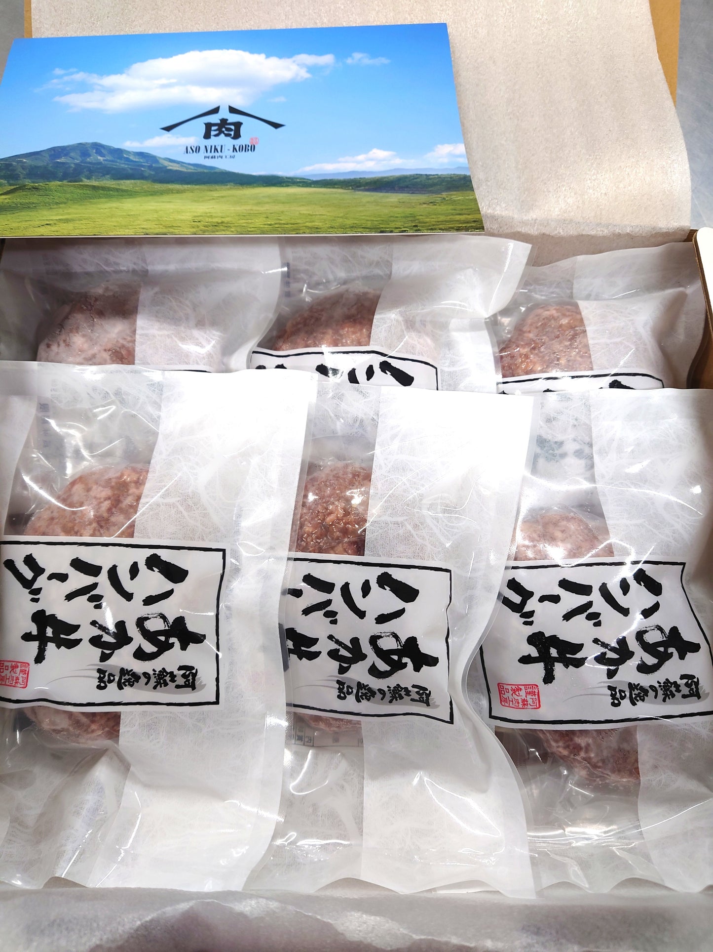 GI認証 くまもとあか牛ハンバーグ120g×6